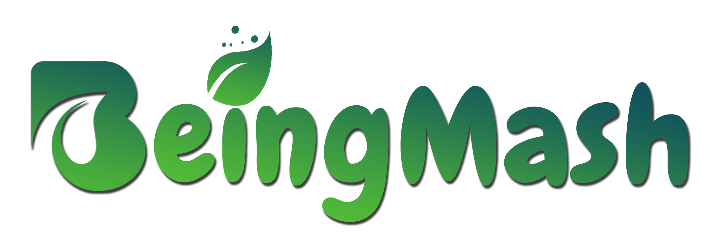 Beingmash Services